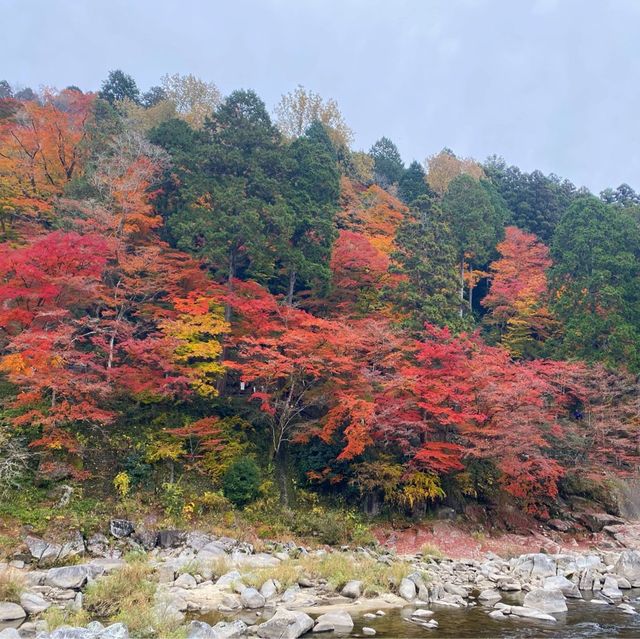 日本 最美的還是風景🍁🌼🗻