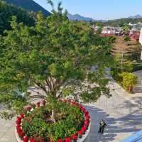 發現一個新地方！超級市場 + 自助餐廳！