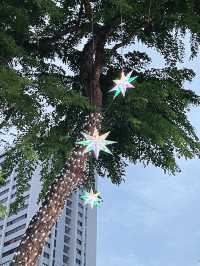 Christmas lights of Orchard