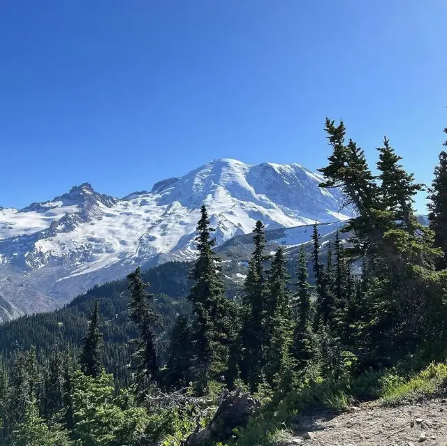 Mount Rainier National Park