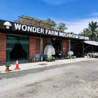 Wonder Farm Mushrooms Excellent Guided Tour