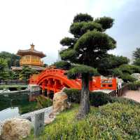靜心之旅🫶🏻鑽石山志蓮淨院