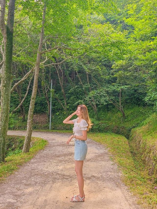 바다가 보이는 수국 가득한 이순신 공