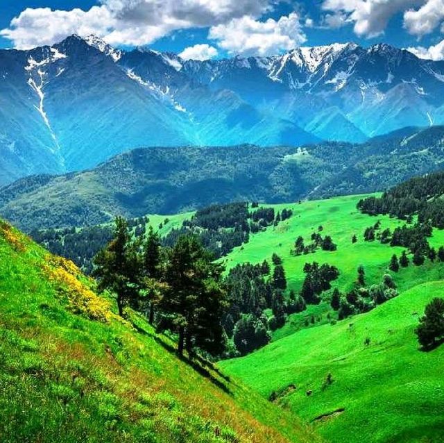 wonderful day