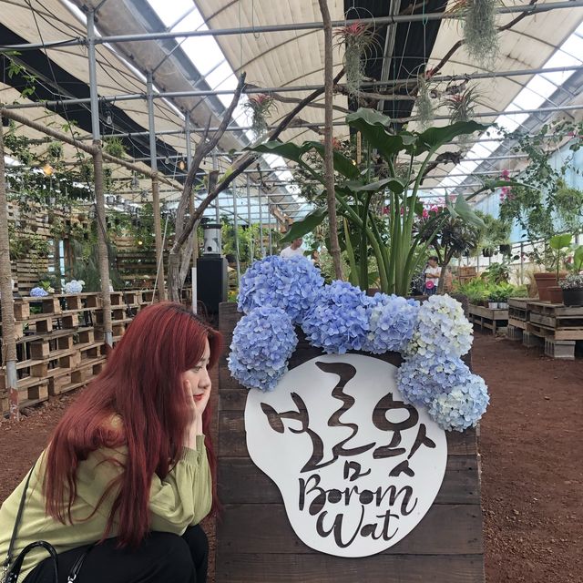 푸릇푸릇한 보롬왓 🌿