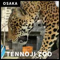 天王寺動物園｜都会の真ん中に動物園があります🐯