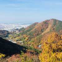 무등산에서 리프트&모노레일 즐기기