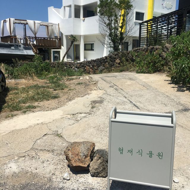 협재해수욕장 2분거리 뷰좋은카페 협재식물원