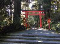 【湖×神社が楽しめる！】箱根・芦ノ湖でのんびり過ごす
