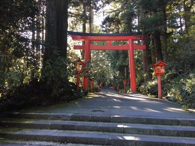 【湖×神社が楽しめる！】箱根・芦ノ湖でのんびり過ごす