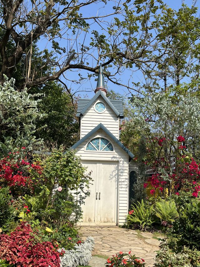 荔枝角隱世愛麗絲花園🏠附前往方法✨