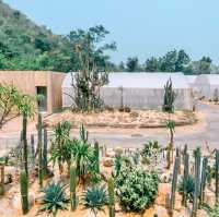 CHAN nature cafe' 