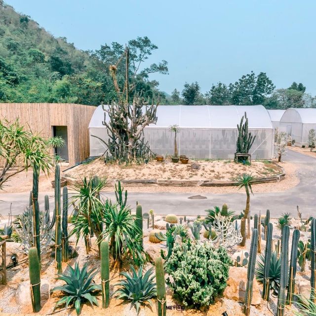 CHAN nature cafe' 