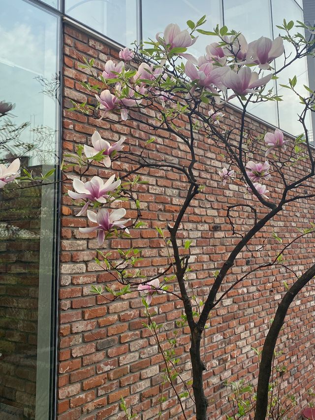 봄나들이 추천 카페 [포비베이직]💚