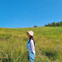 제주 서쪽, 포토존 가득한 금오름🌳
