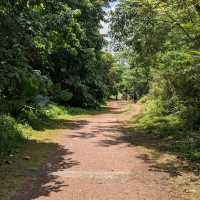 Hiking the rail corridor