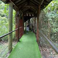 Day Trip - Back to Nature Cafe