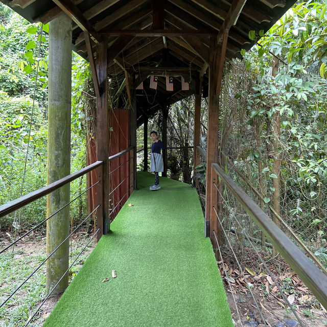 Day Trip - Back to Nature Cafe