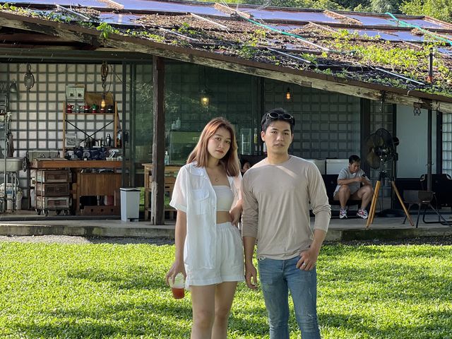 ARTISAN x 123 glamp ค่าเฟใต้ต้นไม้ใหญ่ 