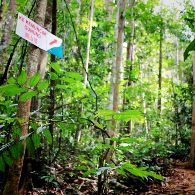 A Hike At Mount Lambak, Kluang