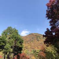 부산 단풍 명소, '범어사'