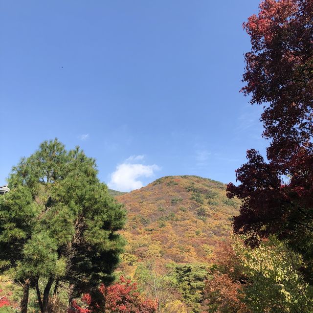 부산 단풍 명소, '범어사'