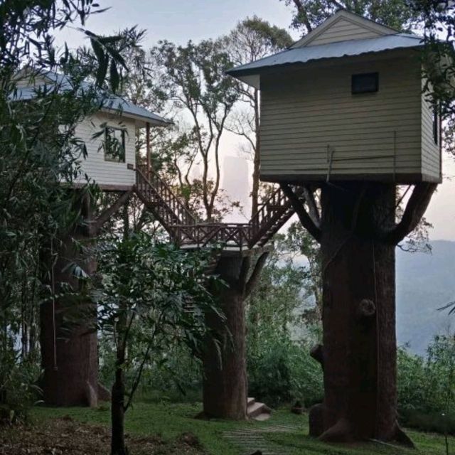 บ้านต้นไม้ อุทยานแห่งชาติทองผาภูมิ