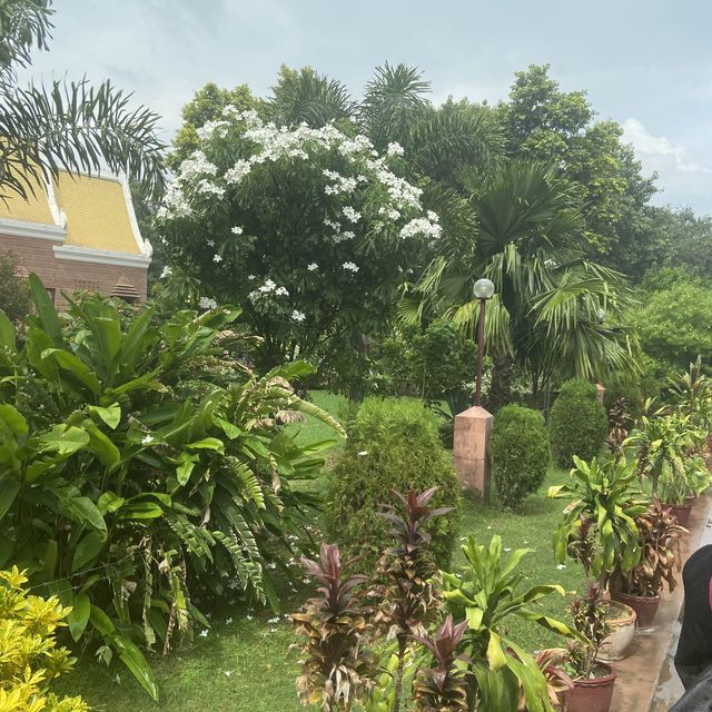 Sarnath : Where Buddha delivered 1st sermon