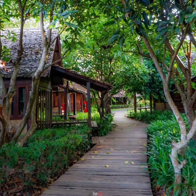 ที่พักเชียงดาว นอนชิล ฟิลธรรมชาติ