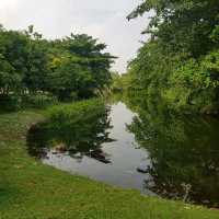 Weekend Exploration At Hampstead wetland 