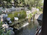 市區江南園林形式設計休憩公園