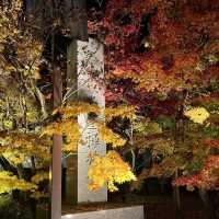 【もみじの永観堂】オススメ紅葉スポット