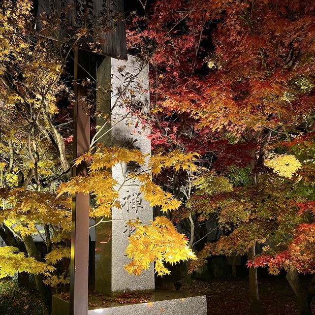 【もみじの永観堂】オススメ紅葉スポット