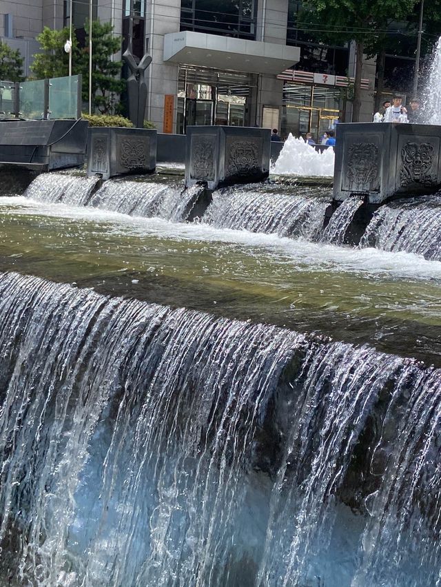 여름에는 청계천에서 탁족을☀️💦
