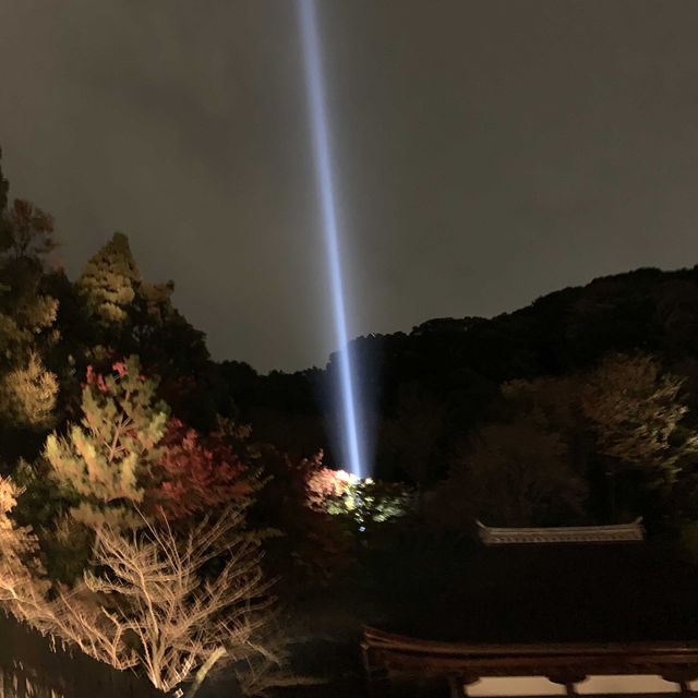 京都紅葉2022  清水寺のライトアップに圧倒される！