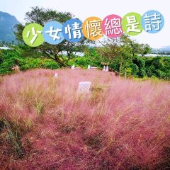 Manor Blanc User Photo