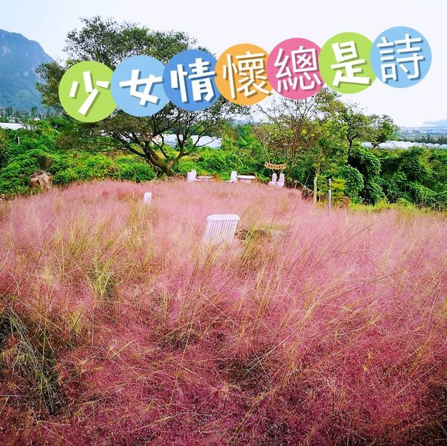 🌸粉紅色的💕心🌷🌸