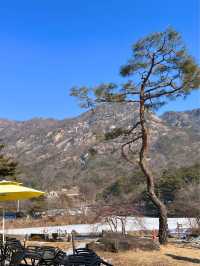 산정호수를 바라보는 호수뷰 한옥베이커리카페 #가비가배