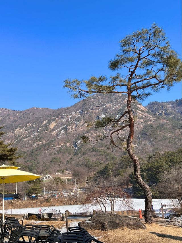 산정호수를 바라보는 호수뷰 한옥베이커리카페 #가비가배