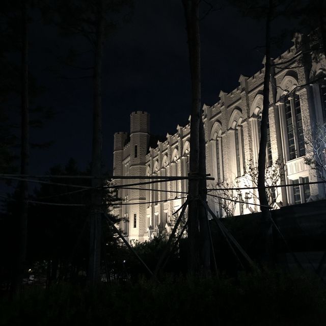 [안암] 일식당 백소정+고려대 산책