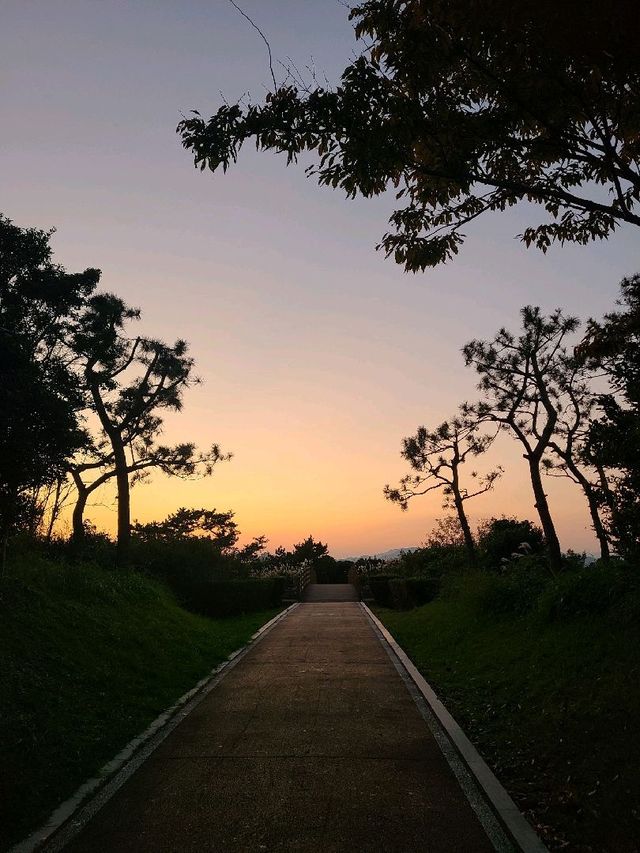 비행기와 함께 투샷 💙