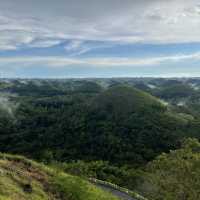 Chocolate Hills only In Bohol, Philippines. 