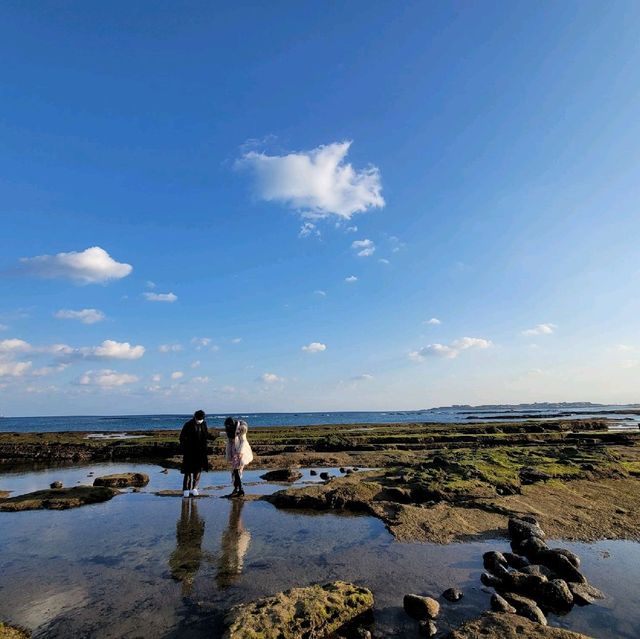 12월 3일 겨울 제주