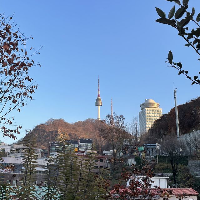 카페와 전시 등 다양한 체험공간의 집합체, 피크닉에서 바라보는 뷰