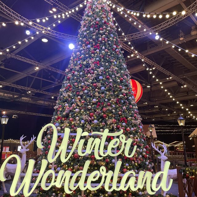 Winter ❄️ Wonderland 小朋友放電好地方