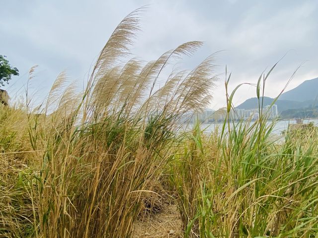 15分鐘行山郊野路線