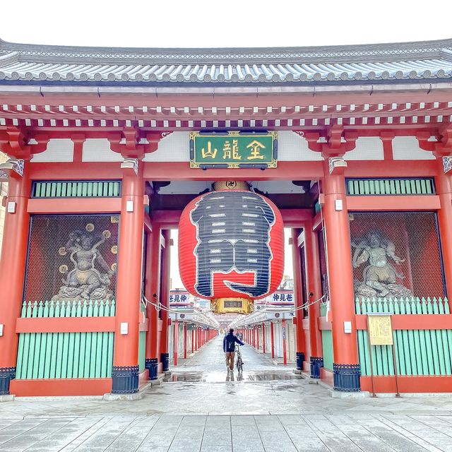 降雪の翌朝の雷門