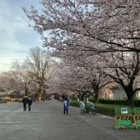 飛鳥山公園