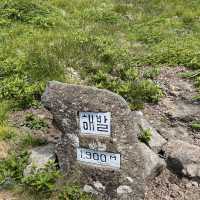 왕복 20km, 제주도 한라산 정복 완료 ⛰