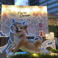 可愛狗狗🐶做瑜珈🤣